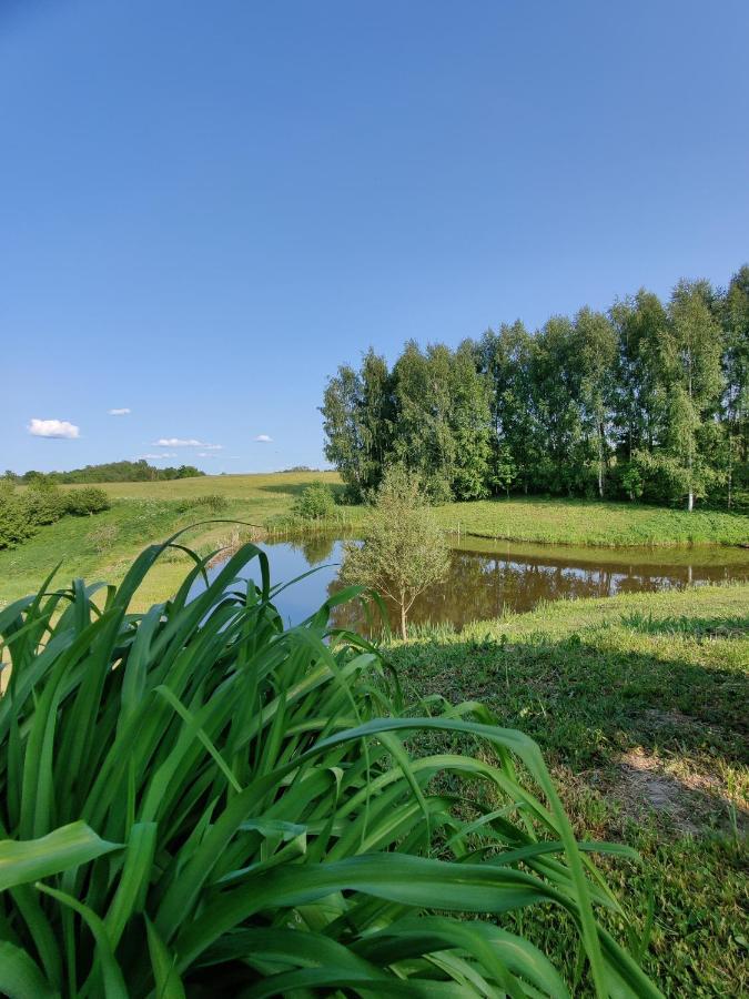 Zalioji Villa Paduyelis Eksteriør billede