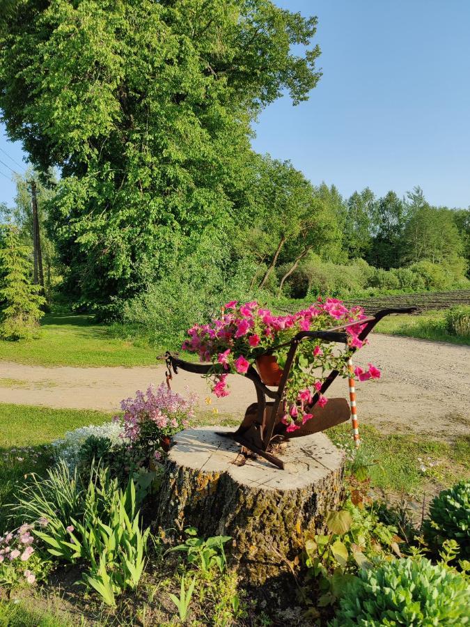Zalioji Villa Paduyelis Eksteriør billede