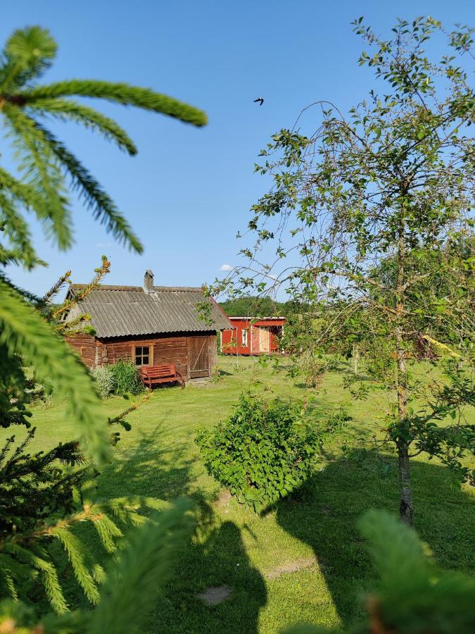 Zalioji Villa Paduyelis Eksteriør billede