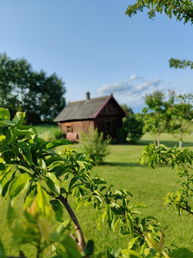 Zalioji Villa Paduyelis Eksteriør billede