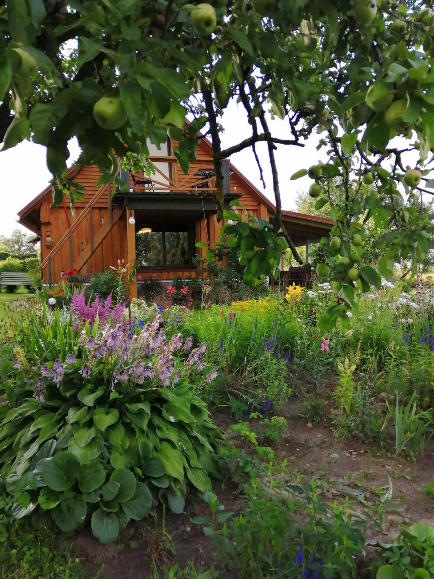 Zalioji Villa Paduyelis Værelse billede